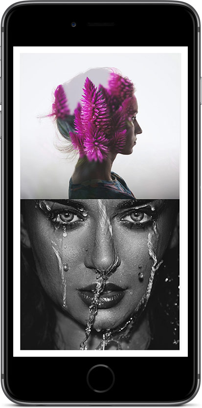 Image module
